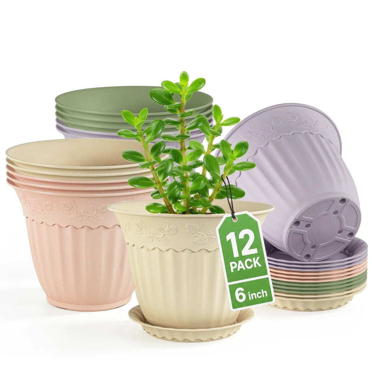 ZMTECH 6 Pack 8 Inch Plant Pots with Saucers, Ivory Cream Planters