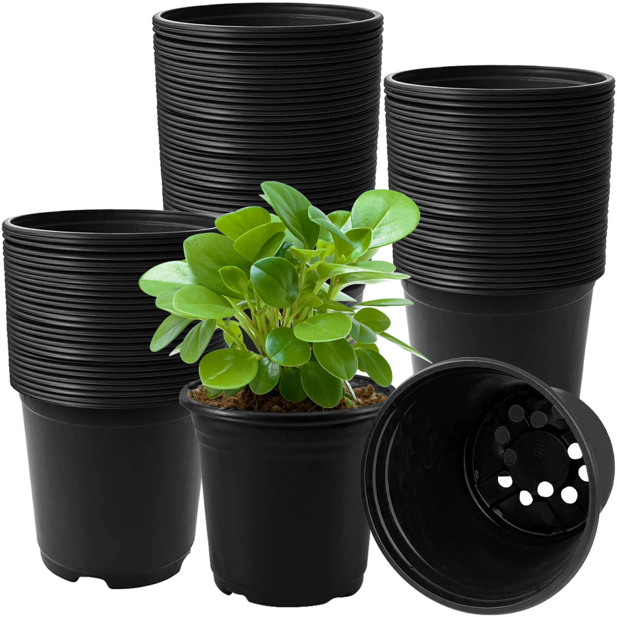 OJYUDD 60 Pack 1 Gallon Flexible Plant Nursery Pots,Thickened Soft Plastic Seed Starting Pots,Plastic Plant Container with Hole for Flower Seedling,Succulents,Cuttings,Transplanting(Black)