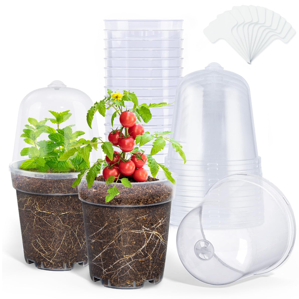 homenote 3/4/5/6.7 Inch Clear PP Nursery Pots with Drainage Holes (36 Pcs)