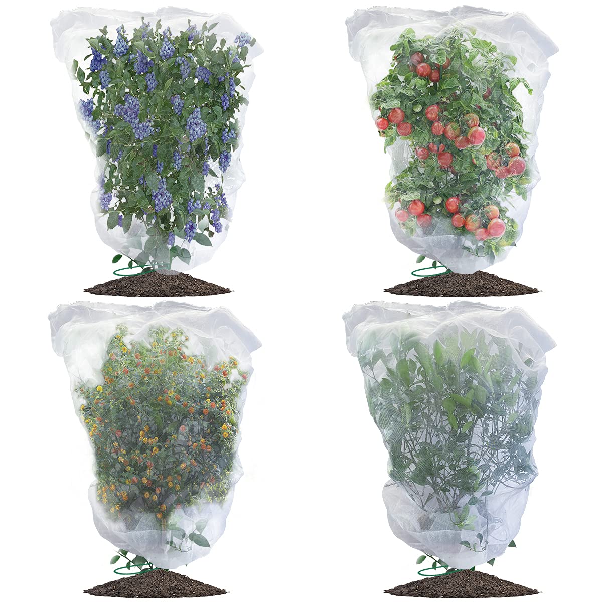 Evoio Bird Netting for Garden Blueberry Bushes Fruit Tree Netting Cover Plant Protection Mesh Bags with Drawstring, 4 Pack 2.3 x 3.5 ft Shrubs Bush Tomato Strawberry Berry Barrier Protectors Net