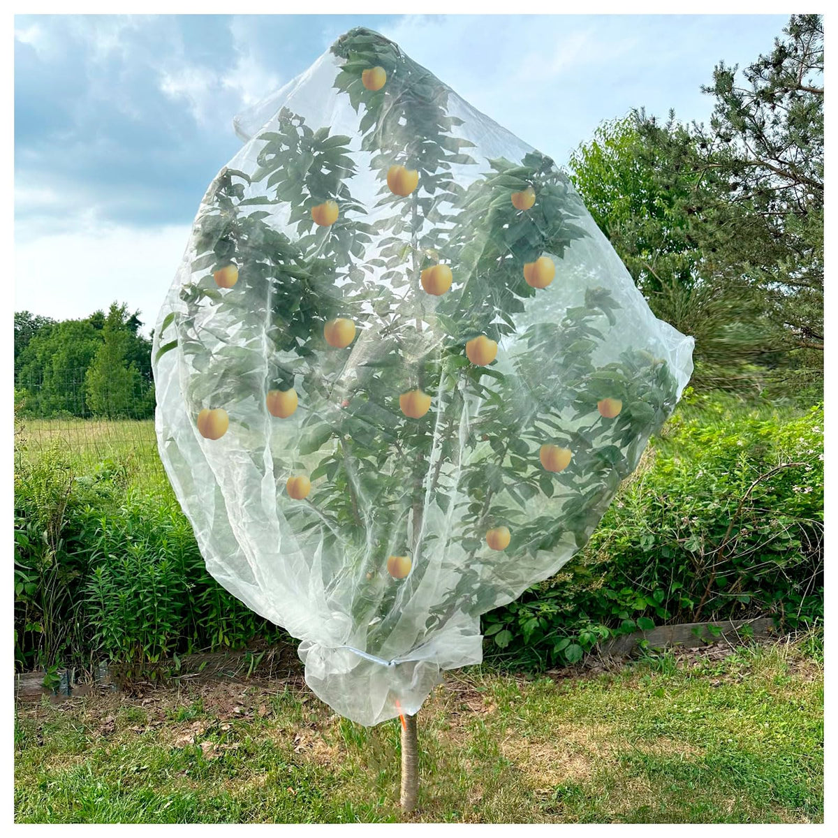 Insect Bird Barrier Mesh, 3.5 x4.6FT Garden Netting Barrier with Drawstring