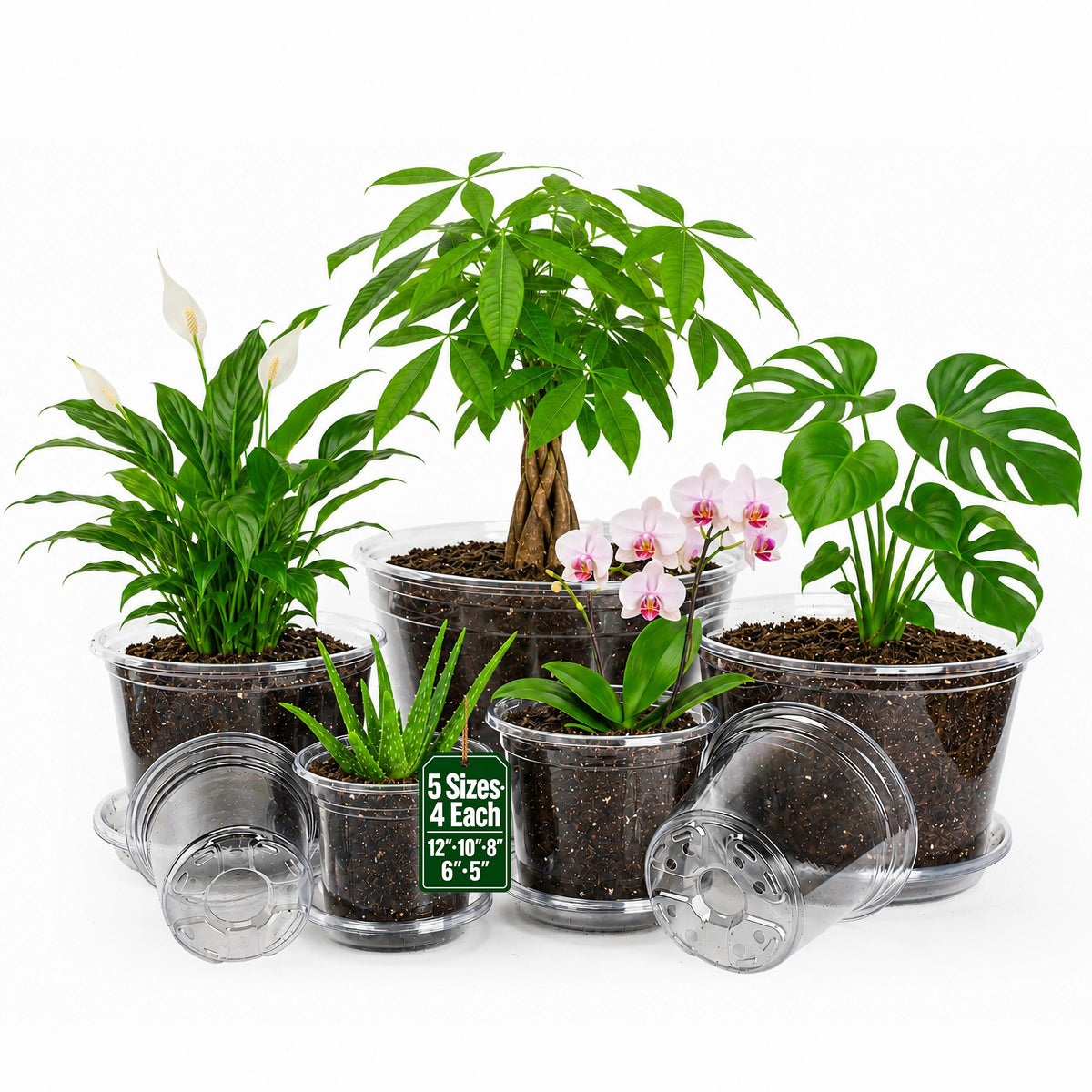 MIXC 18 Pack 6.5/5/4 Inch Self Watering Pots for Indoor Plants-Clear