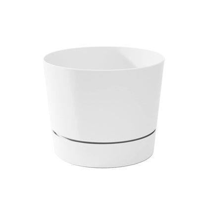 Root & Vessel Majestic Mid-Century Modern Low Profile Cylinder Pot, Matte Black, 6.5"