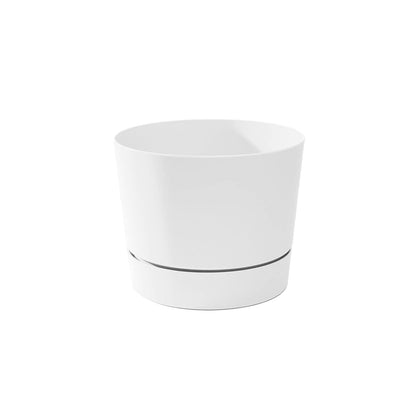 Root & Vessel Majestic Mid-Century Modern Low Profile Cylinder Pot, Matte Black, 6.5"