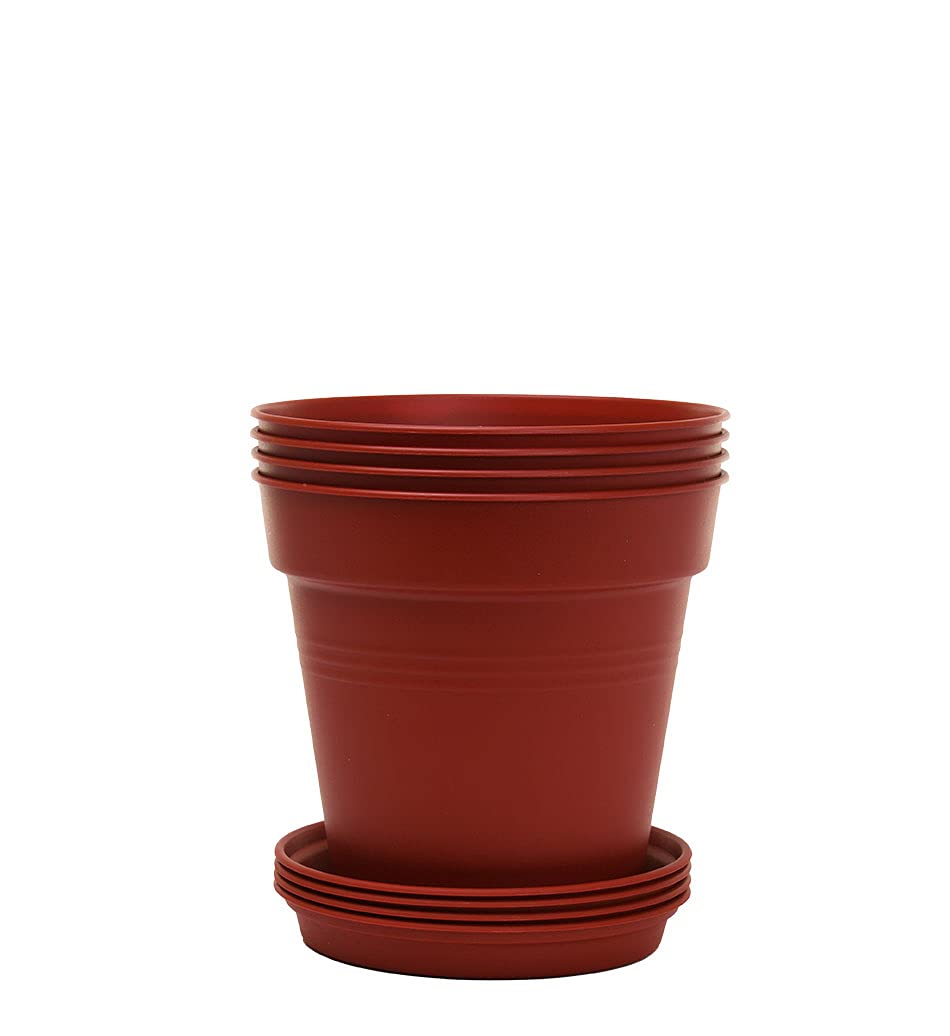 Mintra Garden Pots, 4 Pack Bulk Plastic Plant Pots with Drainage Tray, Round Indoor & Outdoor Decorative Planters with Drain Holes for Flowers, Herbs & Plants, 19cm Diameter – Fuchsia, 7.5in Wide