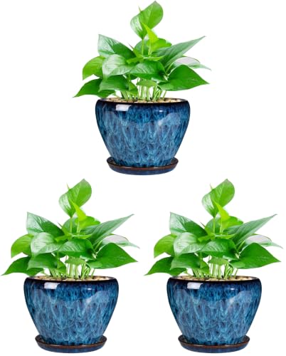 Ceramic Modern Glaze Succulent Planter Pot with Drainage Hole and Saucer 6 Inch Round Flower Plant Pot for Indoor Outdoor Herb Snake Plants