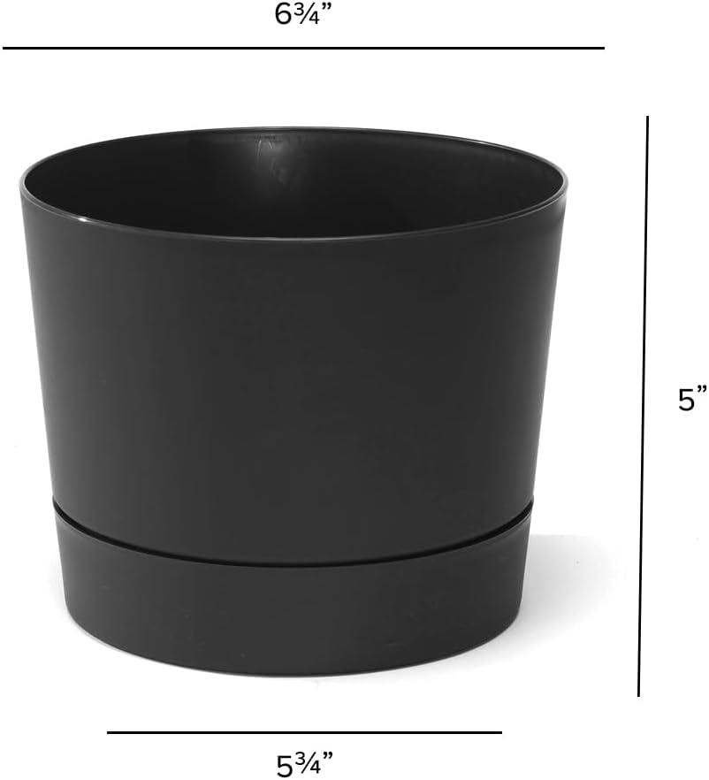 Root & Vessel Majestic Mid-Century Modern Low Profile Cylinder Pot, Matte Black, 6.5"