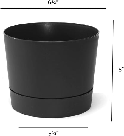 Root & Vessel Majestic Mid-Century Modern Low Profile Cylinder Pot, Matte Black, 6.5"