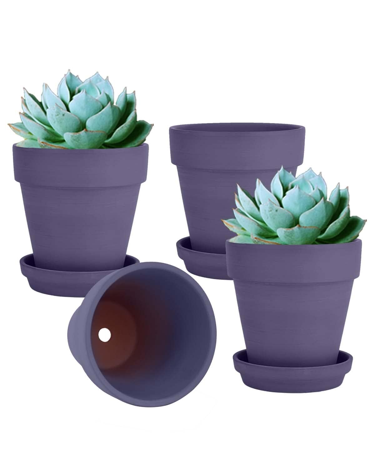 vensovo 6 Inch Terracotta & Clay Pots for Plant with Saucer, 4 Pack