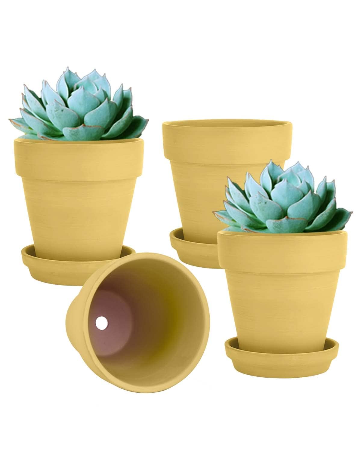 vensovo 6 Inch Terracotta & Clay Pots for Plant with Saucer, 4 Pack