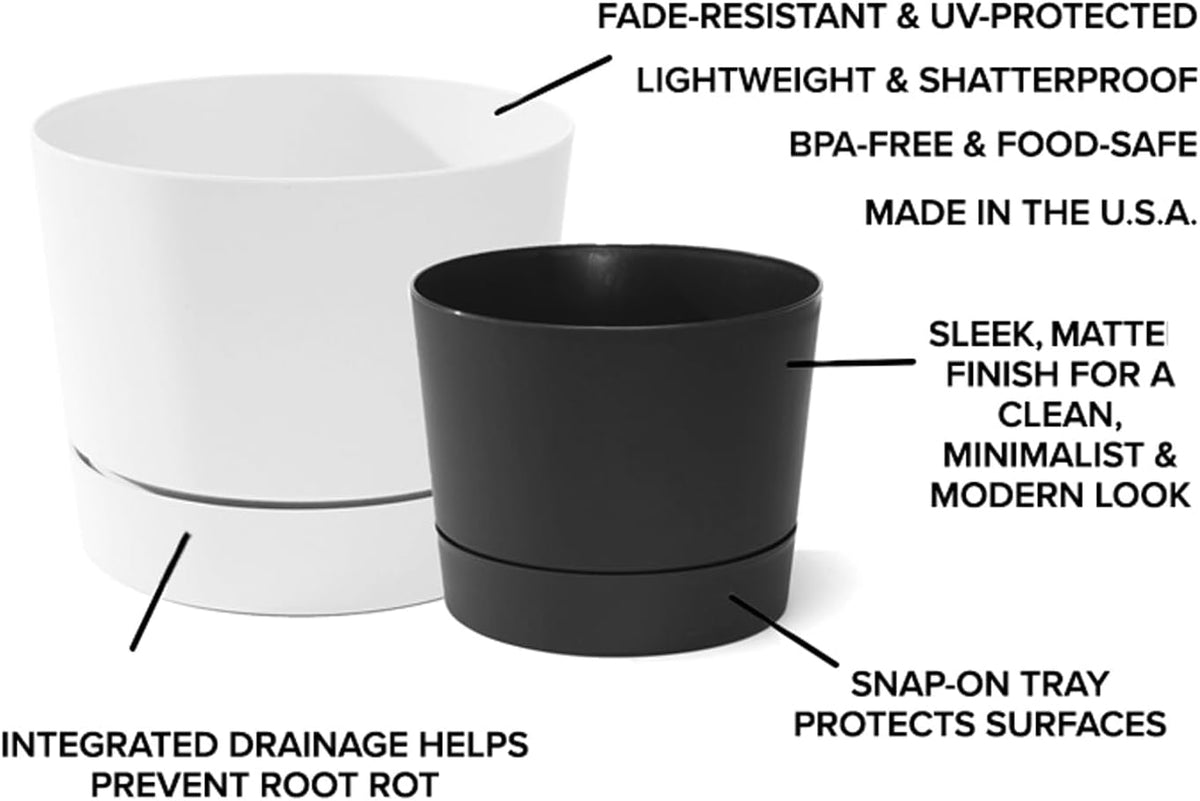 Root & Vessel Majestic Mid-Century Modern Low Profile Cylinder Pot, Matte Black, 6.5"