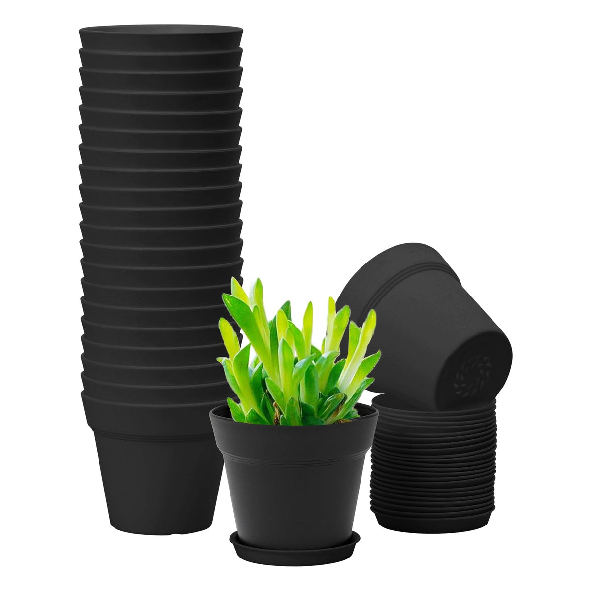 GARDIFE 20 Pack 4 inch Plant pots, planters for Indoor Plants, Flower pots, Color