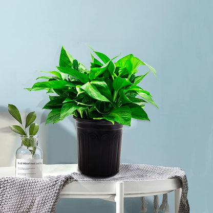 HECTOLIFE 50-Pack 1 Gallon Black Flexible Flower Plant Nursery Pots