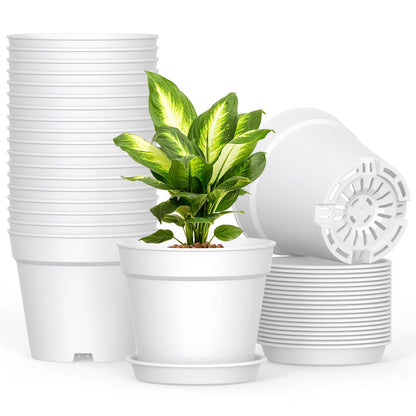 10 Pack 6 Inch Plant Pots with Drainage and Saucers, White Plastic Flower Pots for Indoor and Outdoor Plants, Stackable Nursery Planters for Houseplants and Herbs, White