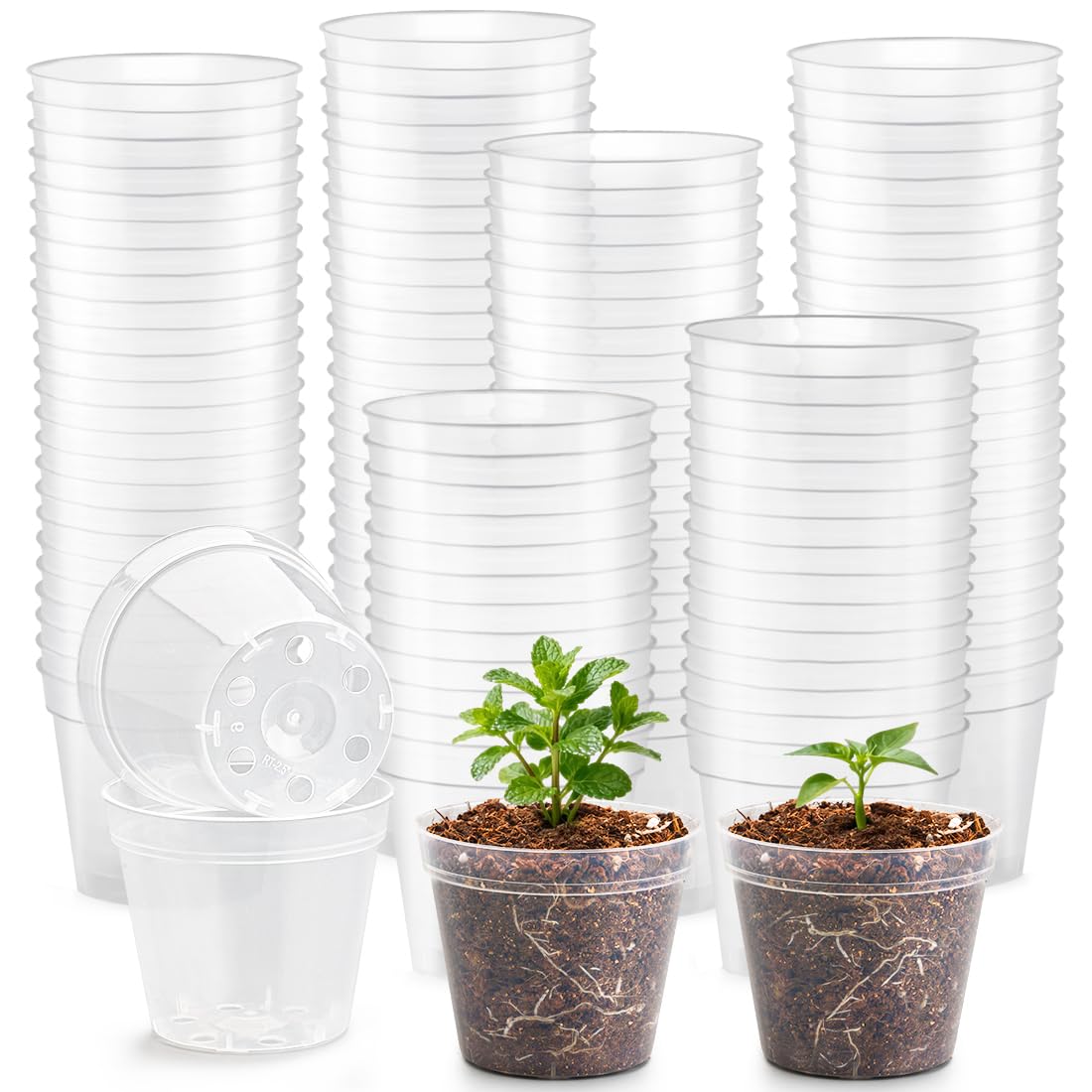 9 Pack 8/7/6 Inch Clear Nursery Pots for Plants with Saucer, Transparent Plastic Plant Pots with Drainage Holes, Sturdy Seedling Starter Pot, Garden Planter Pot for Succulents Flowers Herb Vegetables