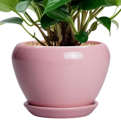 Ceramic Modern Glaze Succulent Planter Pot with Drainage Hole and Saucer 6 Inch Round Flower Plant Pot for Indoor Outdoor Herb Snake Plants