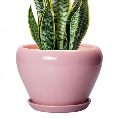 Ceramic Modern Glaze Succulent Planter Pot with Drainage Hole and Saucer 6 Inch Round Flower Plant Pot for Indoor Outdoor Herb Snake Plants