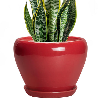 Ceramic Modern Glaze Succulent Planter Pot with Drainage Hole and Saucer 6 Inch Round Flower Plant Pot for Indoor Outdoor Herb Snake Plants