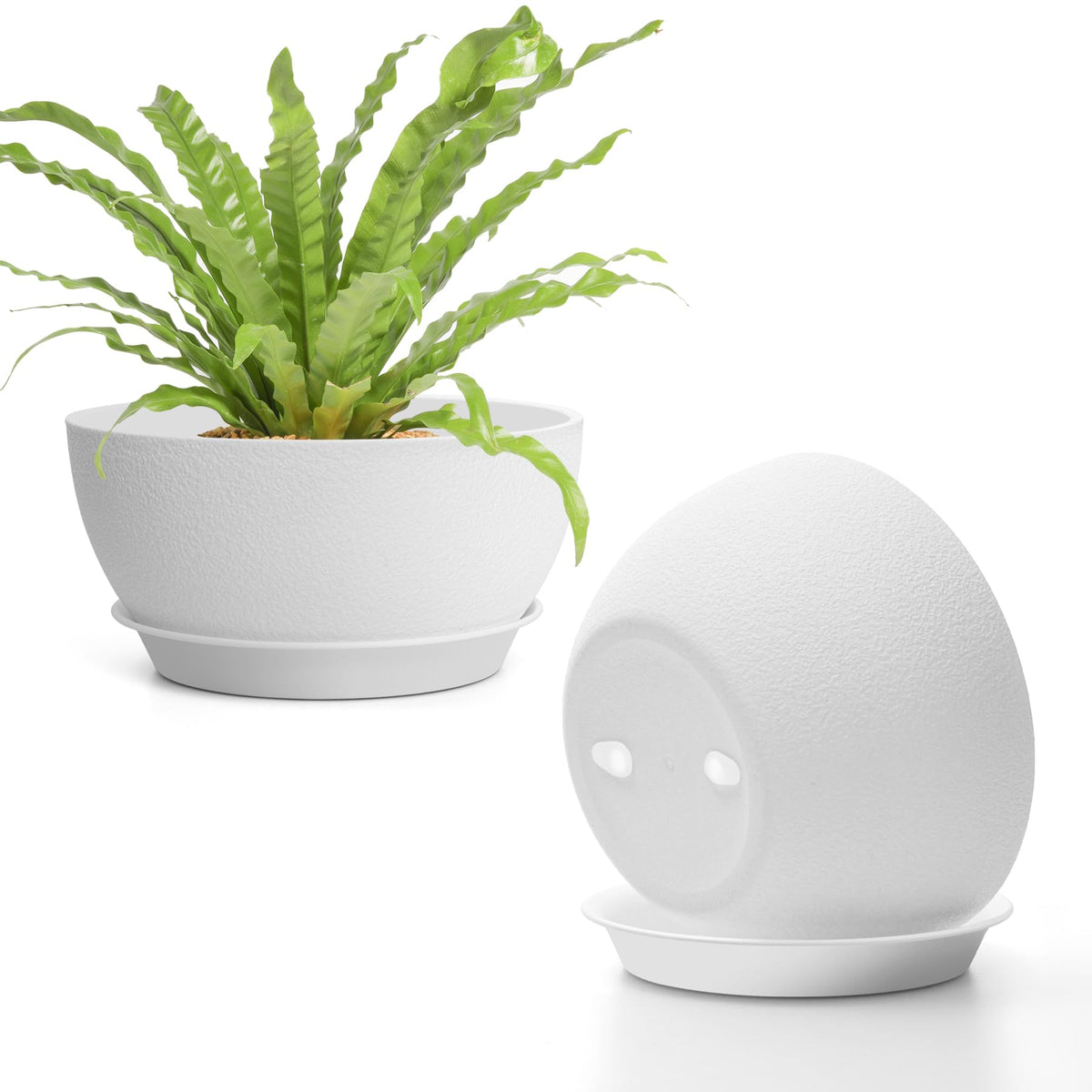 T4U Small Plant Pots 4 Inch 8 Pack, Plastic Indoor Flower Pots Saucer White