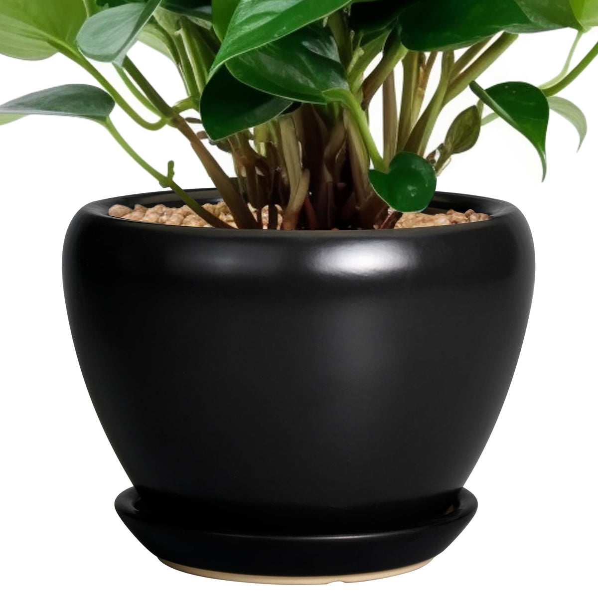Ceramic Modern Glaze Succulent Planter Pot with Drainage Hole and Saucer 6 Inch Round Flower Plant Pot for Indoor Outdoor Herb Snake Plants