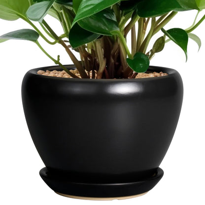 Ceramic Modern Glaze Succulent Planter Pot with Drainage Hole and Saucer 6 Inch Round Flower Plant Pot for Indoor Outdoor Herb Snake Plants
