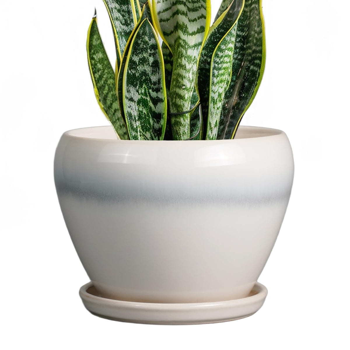 Ceramic Modern Glaze Succulent Planter Pot with Drainage Hole and Saucer 6 Inch Round Flower Plant Pot for Indoor Outdoor Herb Snake Plants