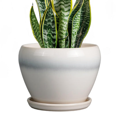 Ceramic Modern Glaze Succulent Planter Pot with Drainage Hole and Saucer 6 Inch Round Flower Plant Pot for Indoor Outdoor Herb Snake Plants
