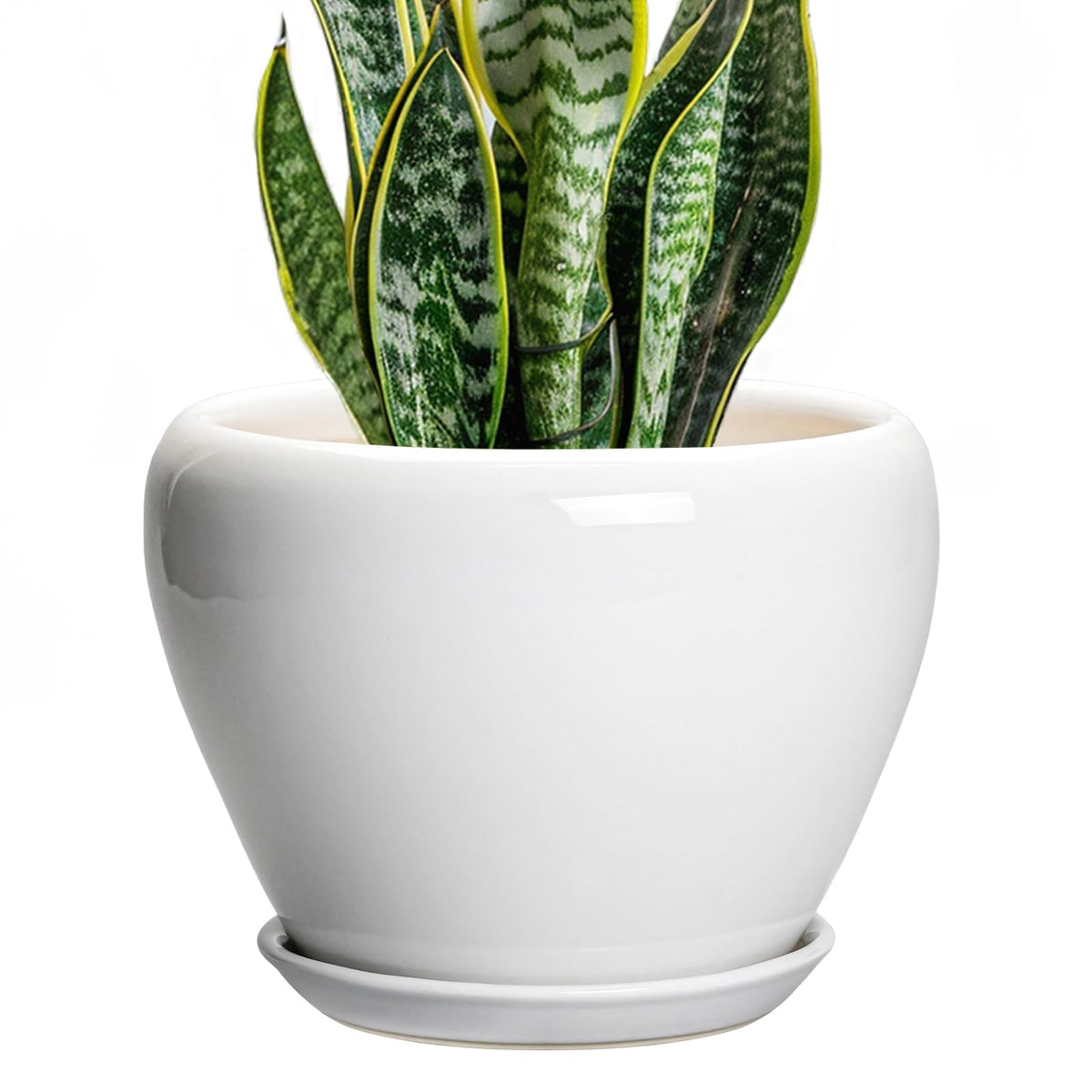Ceramic Modern Glaze Succulent Planter Pot with Drainage Hole and Saucer 6 Inch Round Flower Plant Pot for Indoor Outdoor Herb Snake Plants