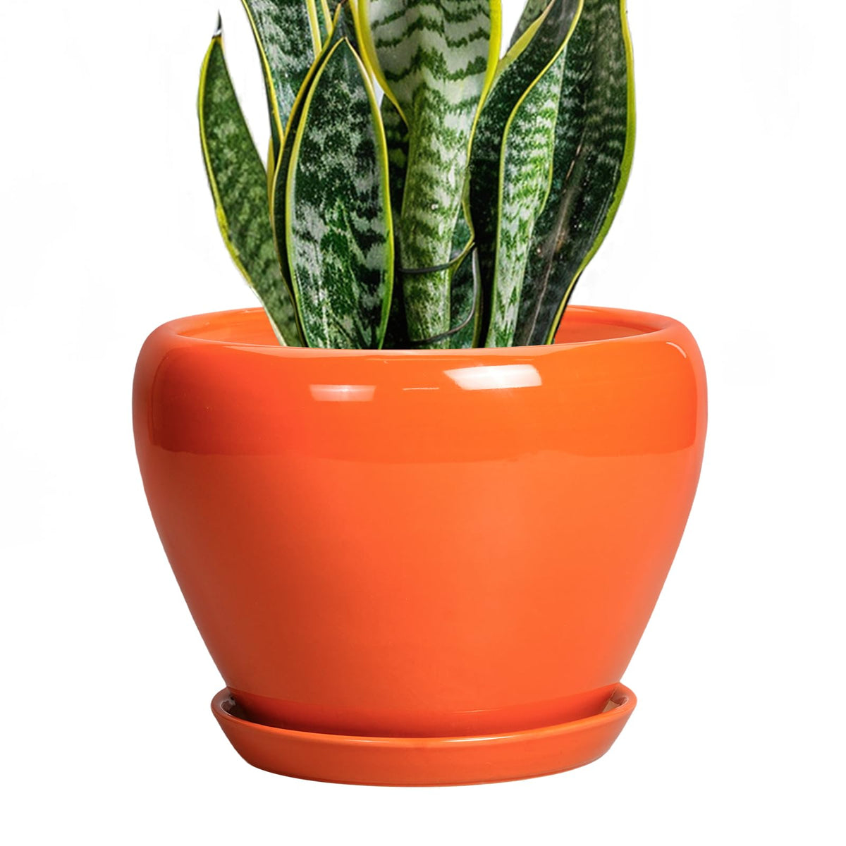Ceramic Modern Glaze Succulent Planter Pot with Drainage Hole and Saucer 6 Inch Round Flower Plant Pot for Indoor Outdoor Herb Snake Plants