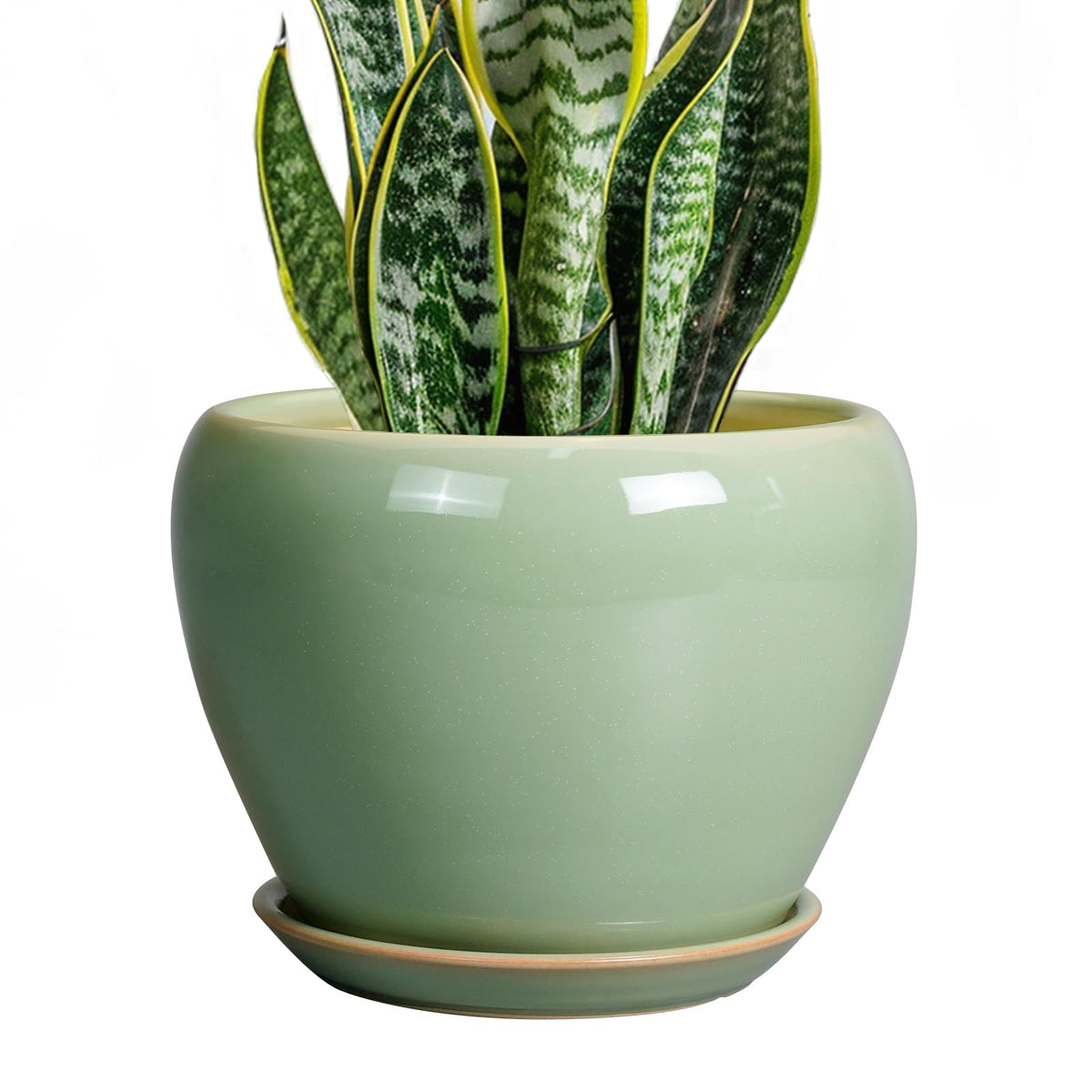 Ceramic Modern Glaze Succulent Planter Pot with Drainage Hole and Saucer 6 Inch Round Flower Plant Pot for Indoor Outdoor Herb Snake Plants