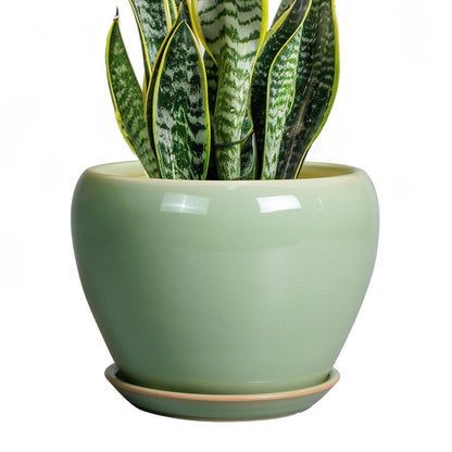Ceramic Modern Glaze Succulent Planter Pot with Drainage Hole and Saucer 6 Inch Round Flower Plant Pot for Indoor Outdoor Herb Snake Plants