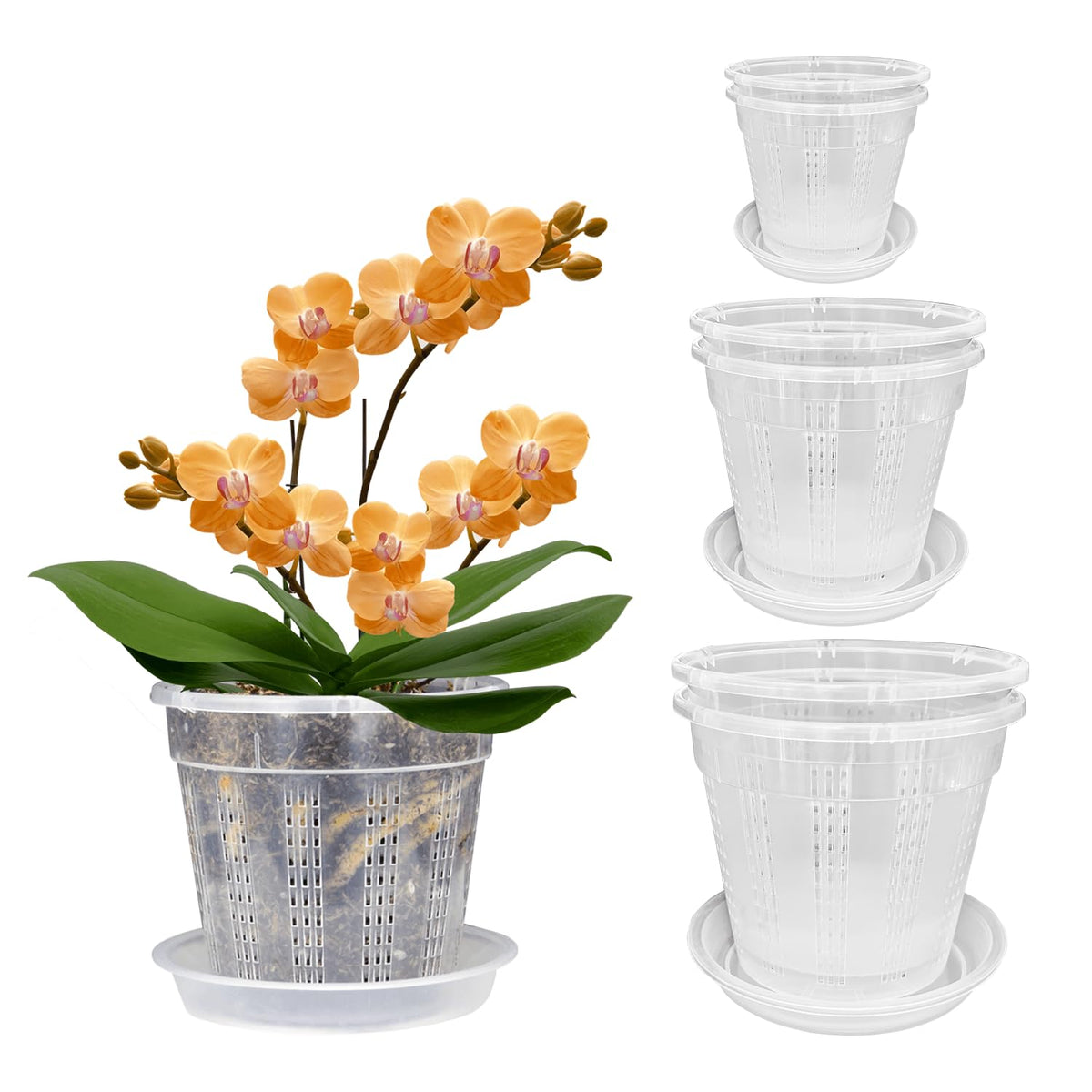 Orchid Pot, 2 Each of 4.3",5.5",6.1" Orchid Pots with Holes, Orchid Pots for Repotting, Plastic Orchid Planter for Indoor Outdoor Plants (2 Each of 4.3",5.5",6.1")