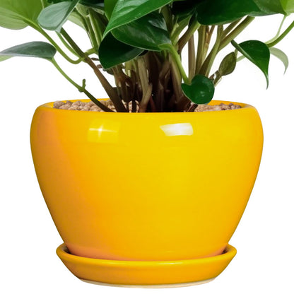 Ceramic Modern Glaze Succulent Planter Pot with Drainage Hole and Saucer 6 Inch Round Flower Plant Pot for Indoor Outdoor Herb Snake Plants