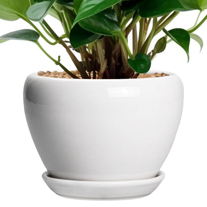 Ceramic Modern Glaze Succulent Planter Pot with Drainage Hole and Saucer 6 Inch Round Flower Plant Pot for Indoor Outdoor Herb Snake Plants