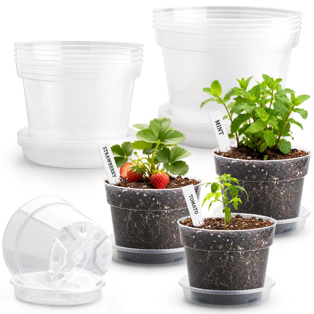 9 Pack 8/7/6 Inch Clear Nursery Pots for Plants with Saucer, Transparent Plastic Plant Pots with Drainage Holes, Sturdy Seedling Starter Pot, Garden Planter Pot for Succulents Flowers Herb Vegetables