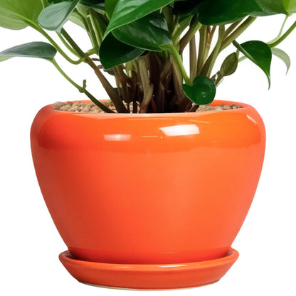 Ceramic Modern Glaze Succulent Planter Pot with Drainage Hole and Saucer 6 Inch Round Flower Plant Pot for Indoor Outdoor Herb Snake Plants