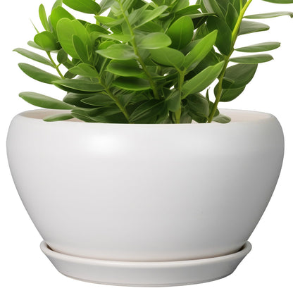 Ceramic Modern Glaze Succulent Planter Pot with Drainage Hole and Saucer 6 Inch Round Flower Plant Pot for Indoor Outdoor Herb Snake Plants