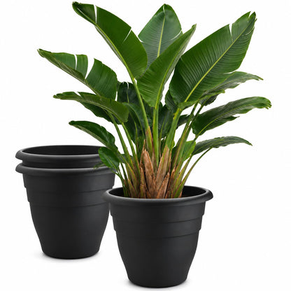 RooTrimmer 5 Pack 10 Inch Plant Pots for Indoor Outdoor,Plastic Floor Planters with Drainage Holes,Lightweight Flower Pots for Home,Patio & Garden(Grey)