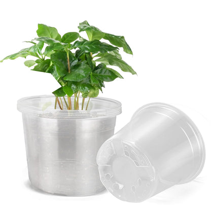 6/8/10 Inch Clear Nursery Pots with Drainage, Plastic Pots for Plants