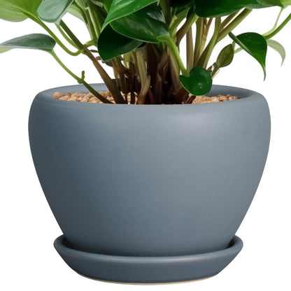 Ceramic Modern Glaze Succulent Planter Pot with Drainage Hole and Saucer 6 Inch Round Flower Plant Pot for Indoor Outdoor Herb Snake Plants