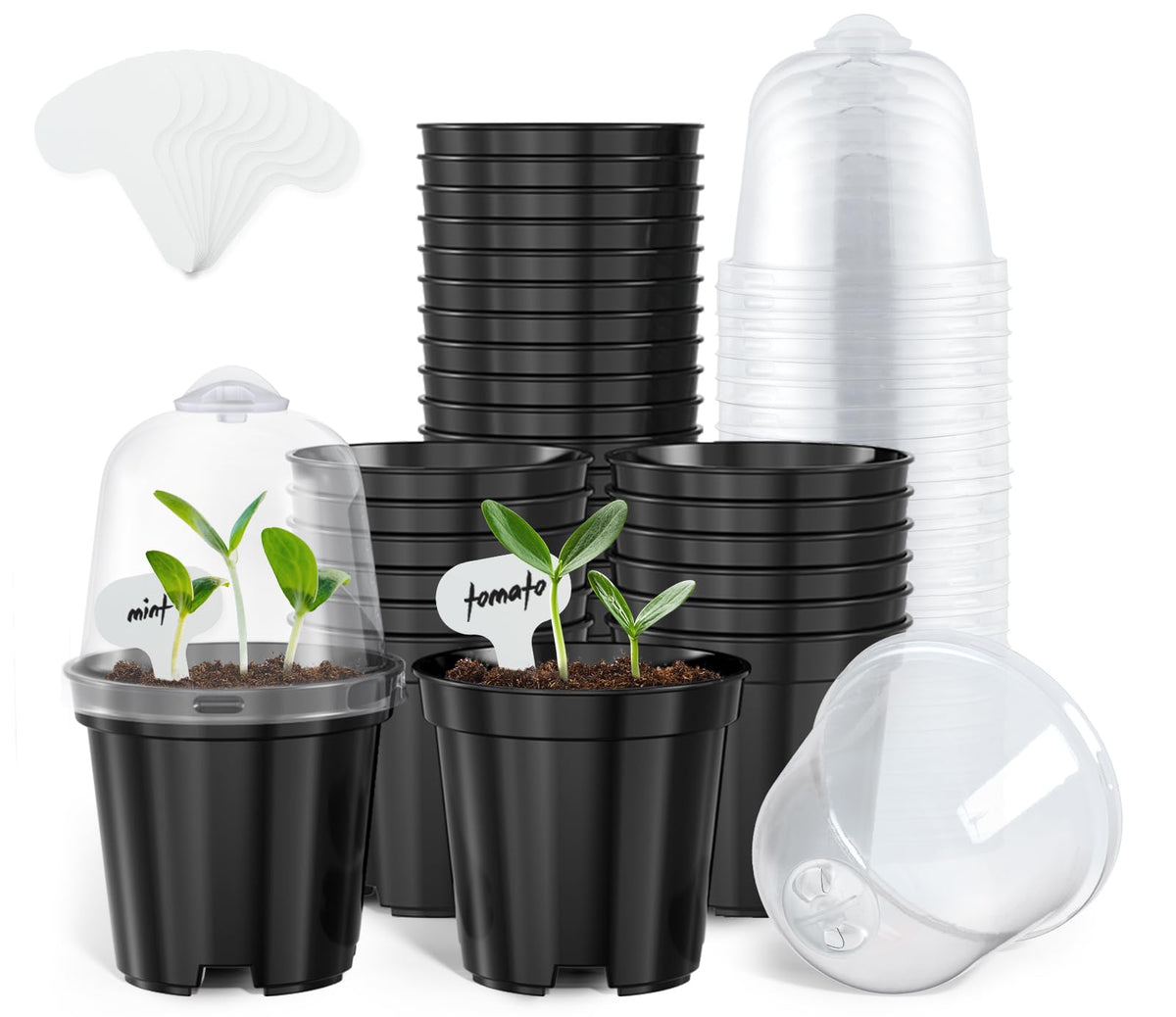homenote 3/4/5/6.7 Inch Clear PP Nursery Pots with Drainage Holes (36 Pcs)