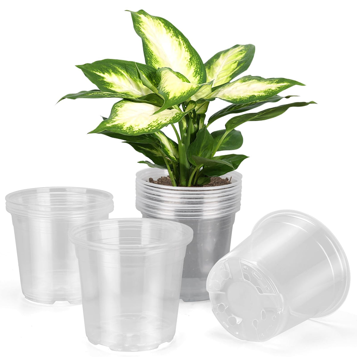 6/8/10 Inch Clear Nursery Pots with Drainage, Plastic Pots for Plants