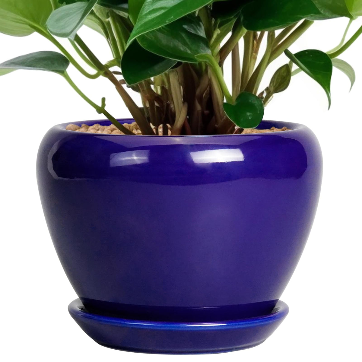 Ceramic Modern Glaze Succulent Planter Pot with Drainage Hole and Saucer 6 Inch Round Flower Plant Pot for Indoor Outdoor Herb Snake Plants
