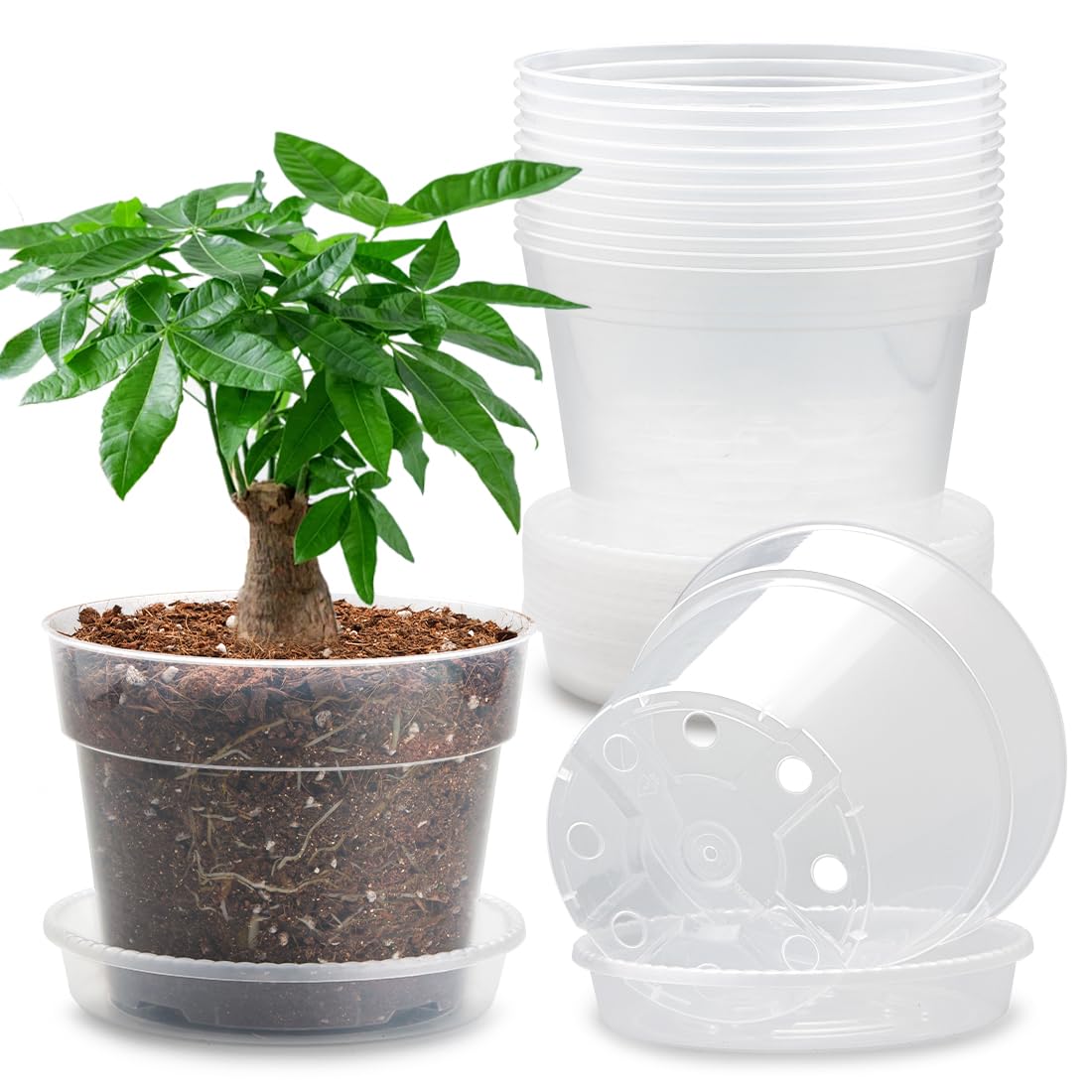 9 Pack 8/7/6 Inch Clear Nursery Pots for Plants with Saucer, Transparent Plastic Plant Pots with Drainage Holes, Sturdy Seedling Starter Pot, Garden Planter Pot for Succulents Flowers Herb Vegetables