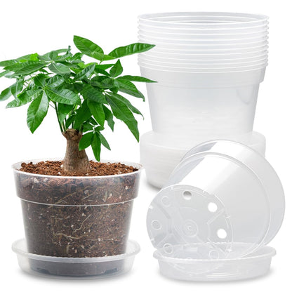 9 Pack 8/7/6 Inch Clear Nursery Pots for Plants with Saucer, Transparent Plastic Plant Pots with Drainage Holes, Sturdy Seedling Starter Pot, Garden Planter Pot for Succulents Flowers Herb Vegetables
