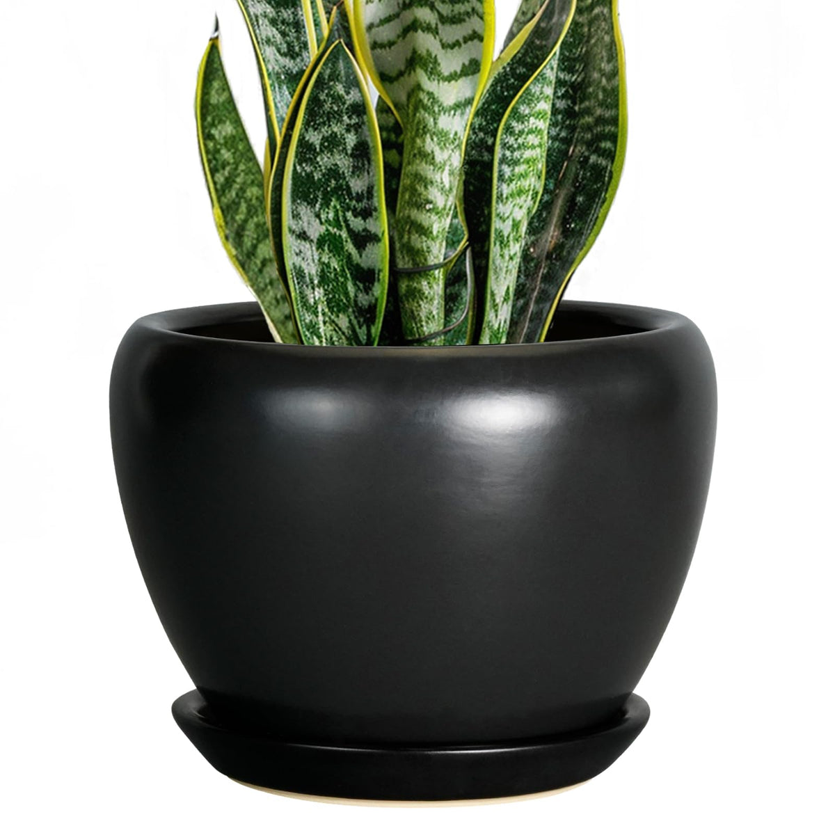 Ceramic Modern Glaze Succulent Planter Pot with Drainage Hole and Saucer 6 Inch Round Flower Plant Pot for Indoor Outdoor Herb Snake Plants