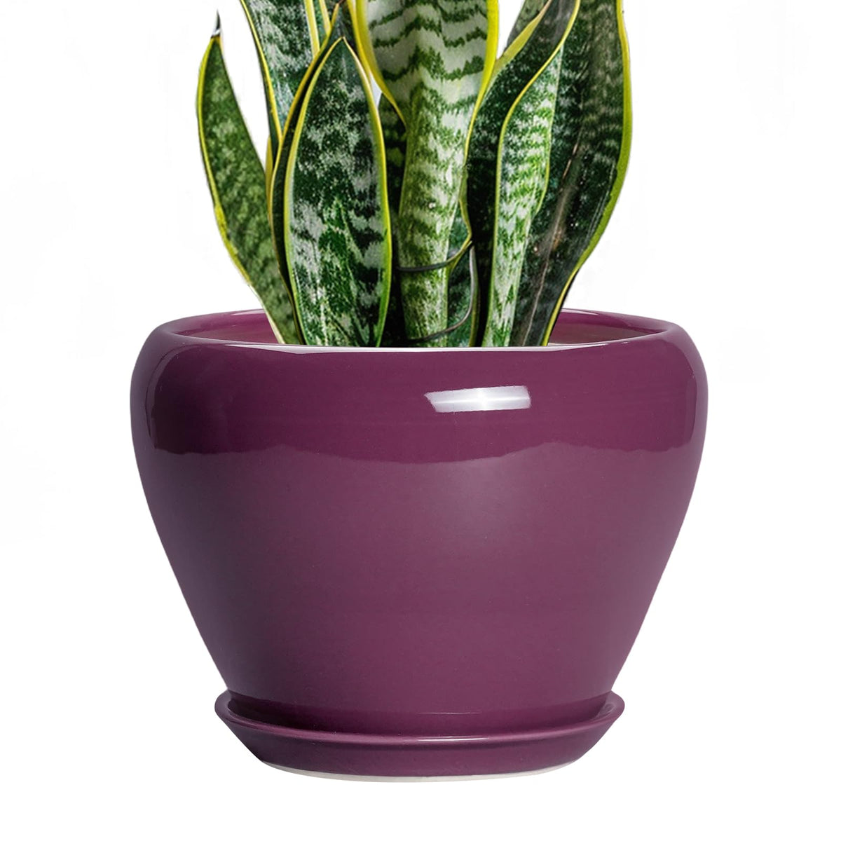 Ceramic Modern Glaze Succulent Planter Pot with Drainage Hole and Saucer 6 Inch Round Flower Plant Pot for Indoor Outdoor Herb Snake Plants