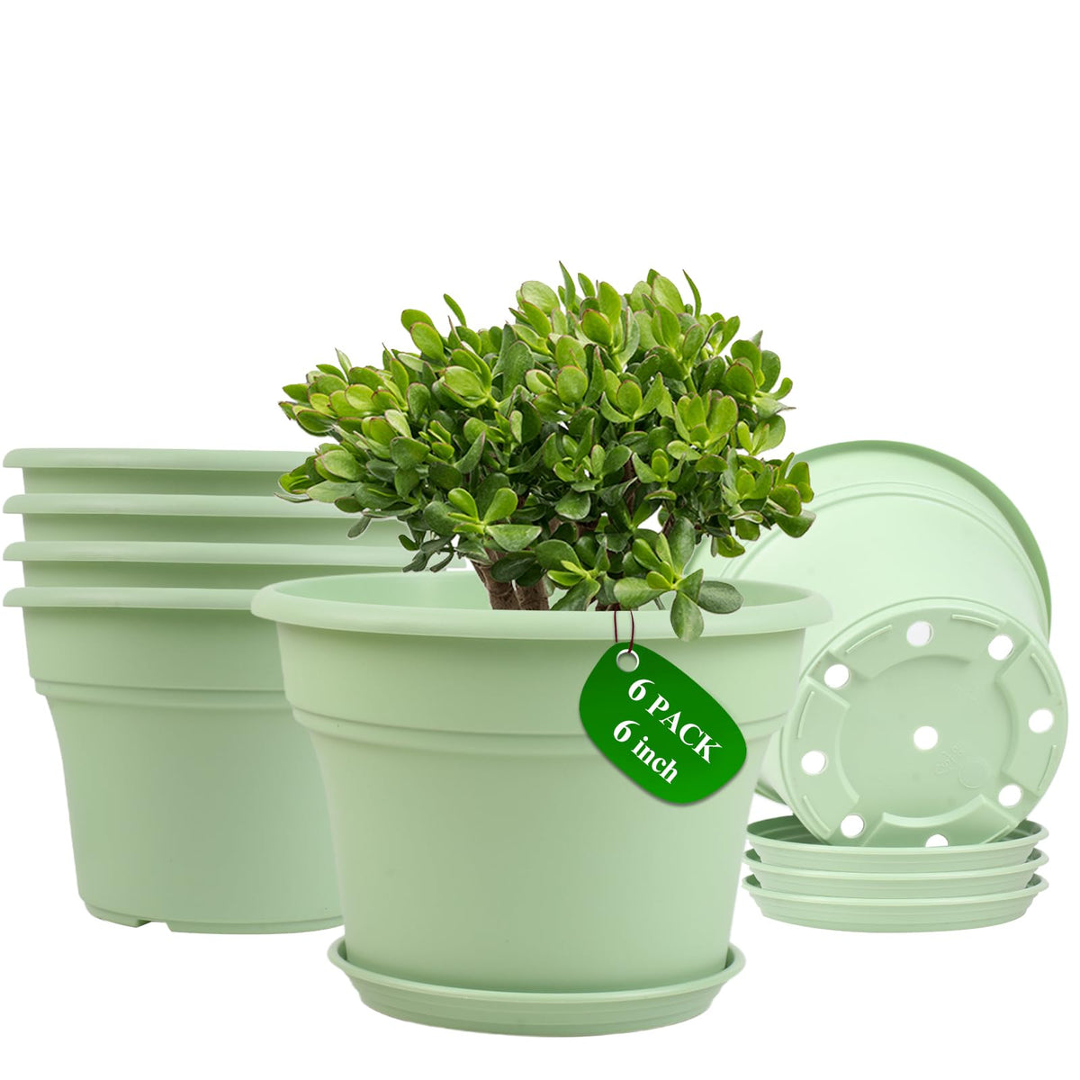 Pottiffe Plant-Pots-Planters-Indoor-Outdoor, 10 inch 4 Pack Green