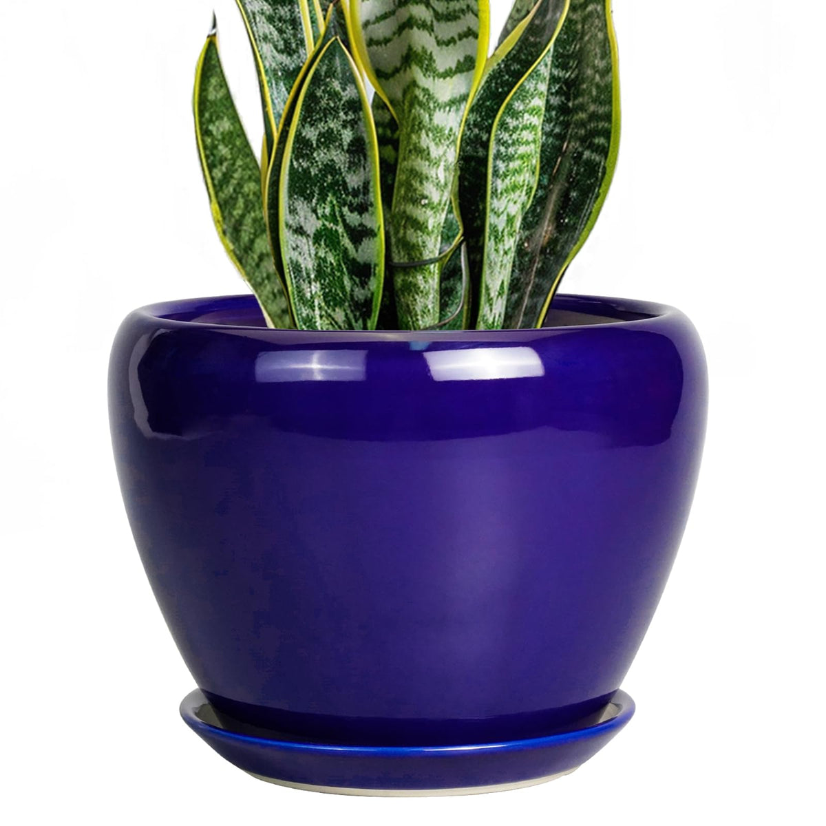 Ceramic Modern Glaze Succulent Planter Pot with Drainage Hole and Saucer 6 Inch Round Flower Plant Pot for Indoor Outdoor Herb Snake Plants
