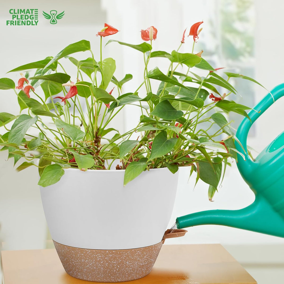 YNNICO 12 inch Large Self Watering Plant Pots for Indoor Outdoor Plants